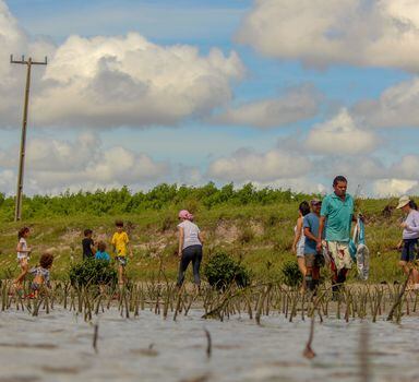 Ação coletiva para recuperação de manguezal destruído em Natal, no Rio Grande do Norte.