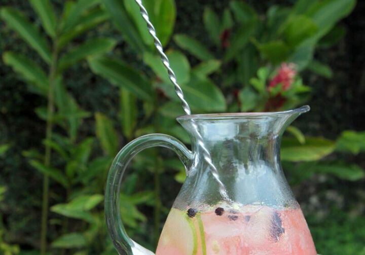 Nesse drinque, que é uma versão da gim tônica, o hibisco dá a cor