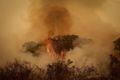 Brasil se isola de países vizinhos em ações de combate a queimadas na Amazônia e Pantanal