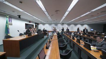 Discussão e votação na Comissão. Foto: Bruno Spada / Câmara dos Deputadas