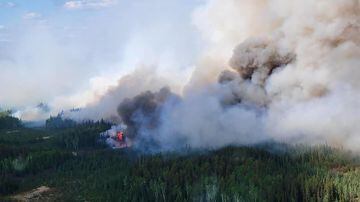 Alta de ‘incêndios zumbis’ no Canadá vira novo alerta sobre impacto das mudanças climáticas.