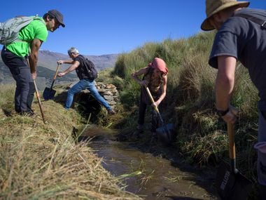 Um grupo de voluntários e trabalhadores escavando “acequias” – canais de água construídos há centenas de anos – em junho, no alto da Serra Nevada, perto de Granada, no sul da Espanha.