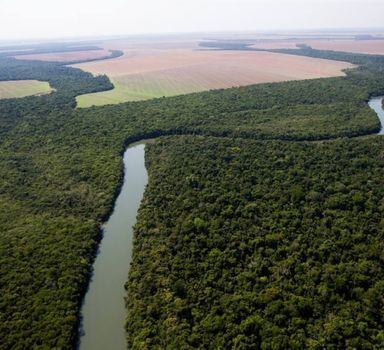 Com Amazônia, PIB do País pode dobrar em 20 anos, diz Alexandre Allard