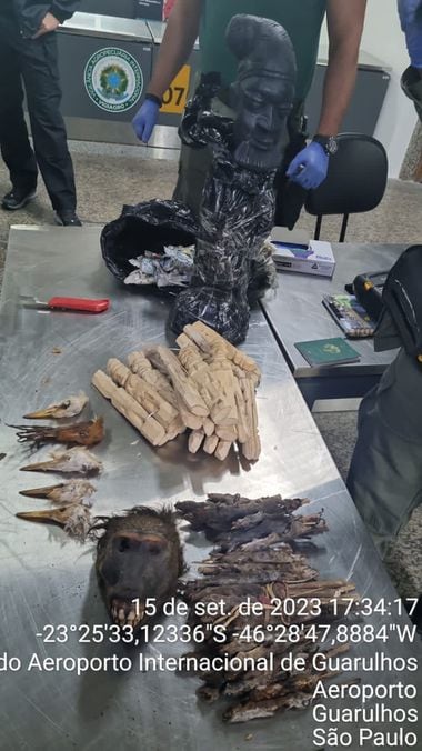 Cabeças de aves, uma cabeça de babuíno e vários ratos mortos e empalados foram apreendidos no Aeroporto Internacional de Guarulhos