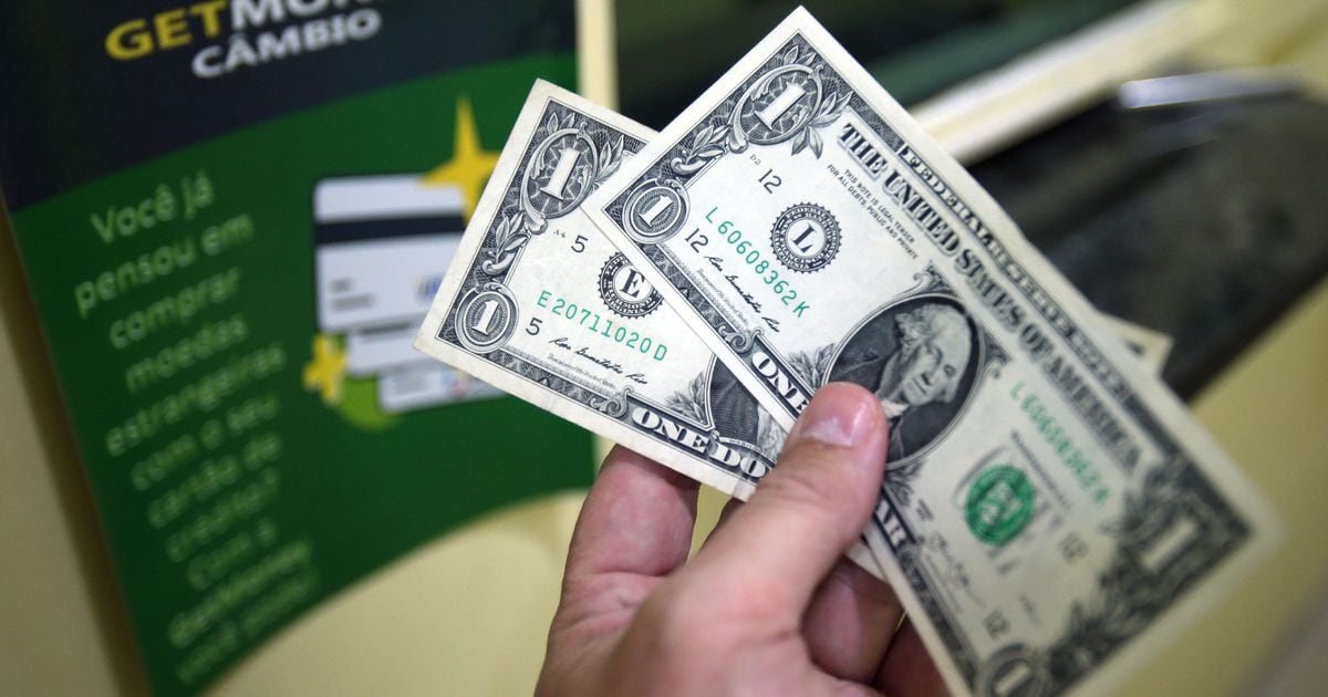 The dollar should be a little less dominant in the next decade, a central bank survey suggests
