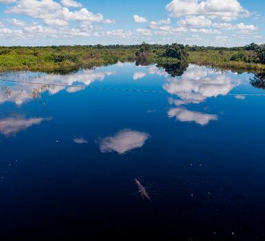 Pantanal.Com mudanças em Reserva Legal que constam em propostas, 5 milhões de hectares deixariam de ser recuperados em biomas