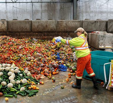 Desperdício de alimentos na América Latina chega a 127 milhões de toneladas por ano, segundo dados da Organização das Nações Unidas (ONU)