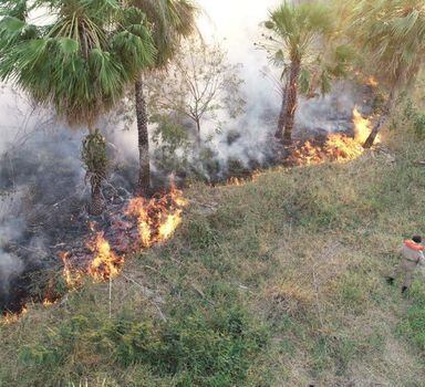 Incêndios em áreas de mata do Pantanal, em Corumbá, Mato Grosso do Sul. Região tem recorde de queimadas em 22 anos.