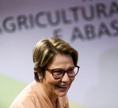 Ministra da Agricultura quer liberar mais agrotóxicos, mesmo que não exista 'risco zero' quanto ao uso das substâncias
