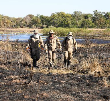 Bombeiros mobilizam contingente e aviões no combate aos incêndios no Pantanal, em Mato Grosso do Sul