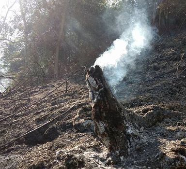 Um incêndio iniciado na terça-feira, 19,já destruiu cerca de 600 hectares de campos e matas no Parque Nacional da Serra da Bocaina, entre os municípios de São José do Barreiro e Bananal, na divisa entre São Paulo e Rio de Janeiro.