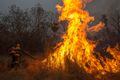 Fogo destrói metade de terra  indígena em Mato Grosso do Sul