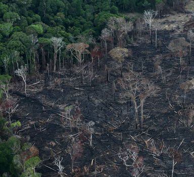 Na foto, área desmatada em Itaituba (PA) em 2019;Floresta Amazônica vem perdendo a capacidade de retornar a um estado saudável após choques, como secas e incêndios.