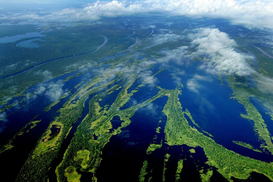 Para que a Floresta Amazônica atinja o ponto de inflexão, os cientistas acreditam que a temperatura tenha de estar entre 2 e 6 graus centígrados acima da temperatura em que o planeta estava antes da revolução industrial. 