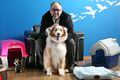 Petlove anuncia fusão com a Doghero e avança no setor de serviços