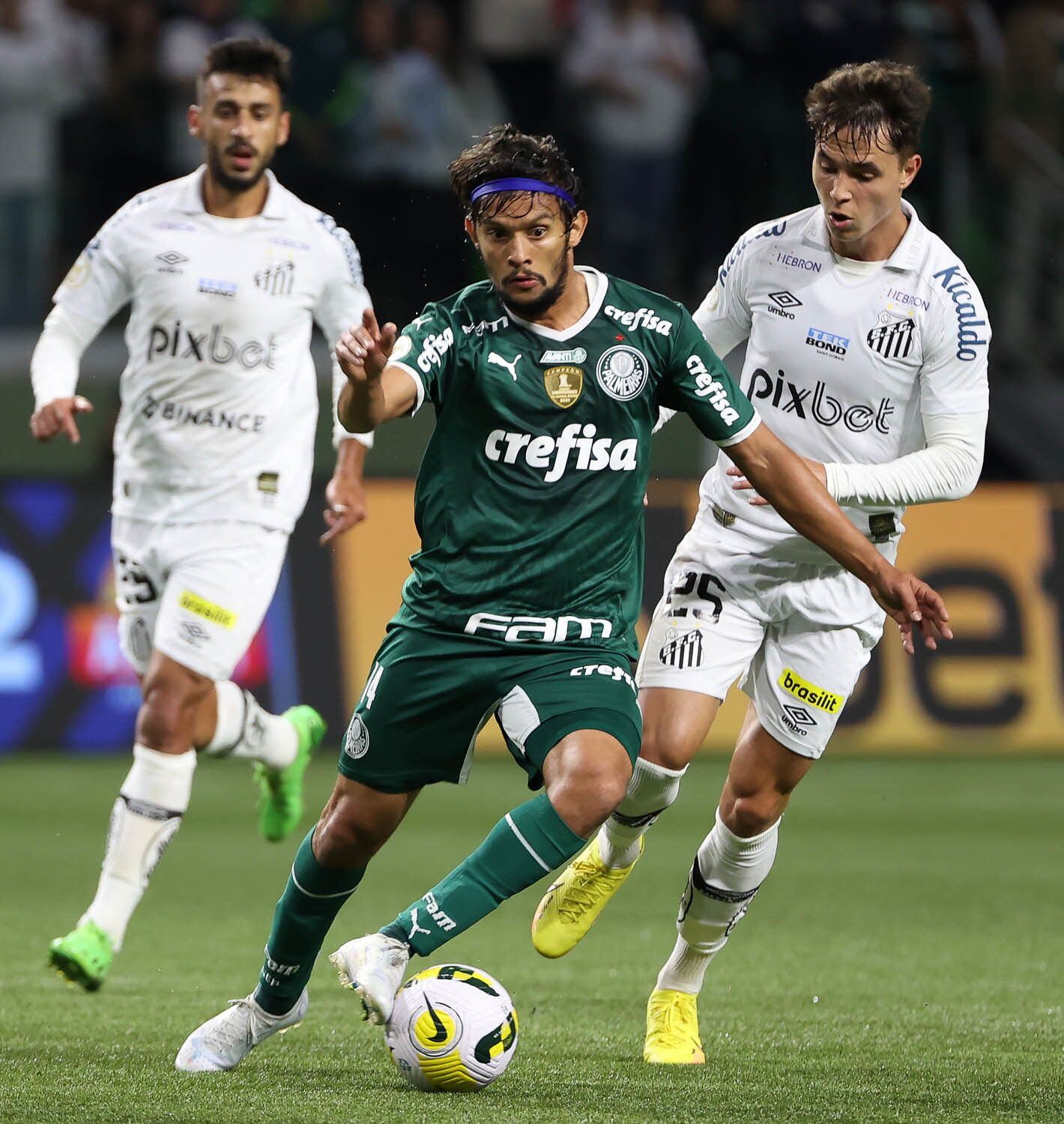 Palmeiras vence o Santos, encerra jejum e é campeão do Paulista