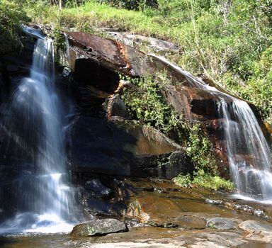 Na lista de unidades previstas para terem a área reduzida pelo governo estão florestas como os parques nacionais Serra da Bocaina