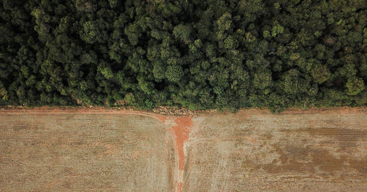 Los países desarrollados se benefician de los combustibles fósiles y utilizan el Fondo Amazonía para hacer un ‘lavado verde’