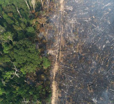 Desmatamento ilegal na Amazônia é um 'ruído' na transformação ambiental do Brasil, dizem empresários.