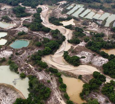 Garimpo flagrado pelo Ibama poluindo osrios Curuá e Trairão em Altamira/PA, que estava afetando a terra dos Kayapó. O embargo ocorreu em agosto de 2016 apósdenúncia de índios.