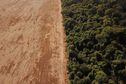 FILE PHOTO: An aerial view shows deforestation near a forest on the border between Amazonia and Cerrado in Nova Xavantina, Mato Grosso state, Brazil July 28, 2021. Picture taken  with a drone. REUTERS/Amanda Perobelli/File Photo