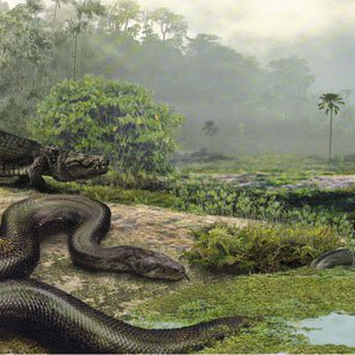 Suposto esqueleto de cobra pré-histórica gigante agita a web