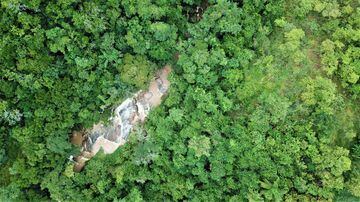 Legenda da foto: mata reflorestada com espécies nativas na Reserva Particular do Patrimônio Natural (RPPN) Duas Cachoeiras, em Amparo (SP), que é onde fica também o Araribá Jardim Botânico. Foto: GUARACI DINIZ