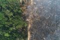 Desmatamento da Amazônia cai pelo terceiro mês consecutivo, mas queimadas sobem