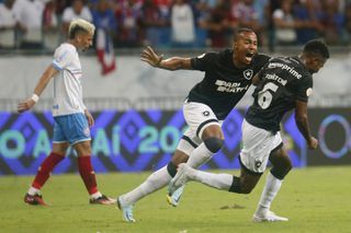 Jogadores do Botafogo comemoram gol na Arena Fonte Nova.