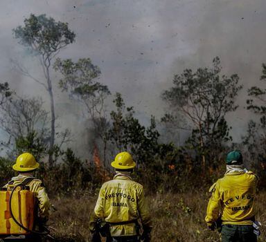 Brigadistas do Ibama combatem incêndio em unidade de conservação ambiental na região de Manicoré, no Estado do Amazonas