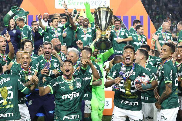 A SE Palmeiras é Campeão Paulista de clubes de 2022 - FPFM - Federação  Paulista de Futebol de Mesa
