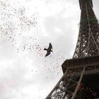 Cerca de 1200 balões voaram pelos céus da capital francesa para marcar 120º aniversário do monumento. Projetado pelo francês arquiteto Gustave Eiffel, a estrutura metálica foi inaugurada em 1989. Foto: Christophe Ena/AP