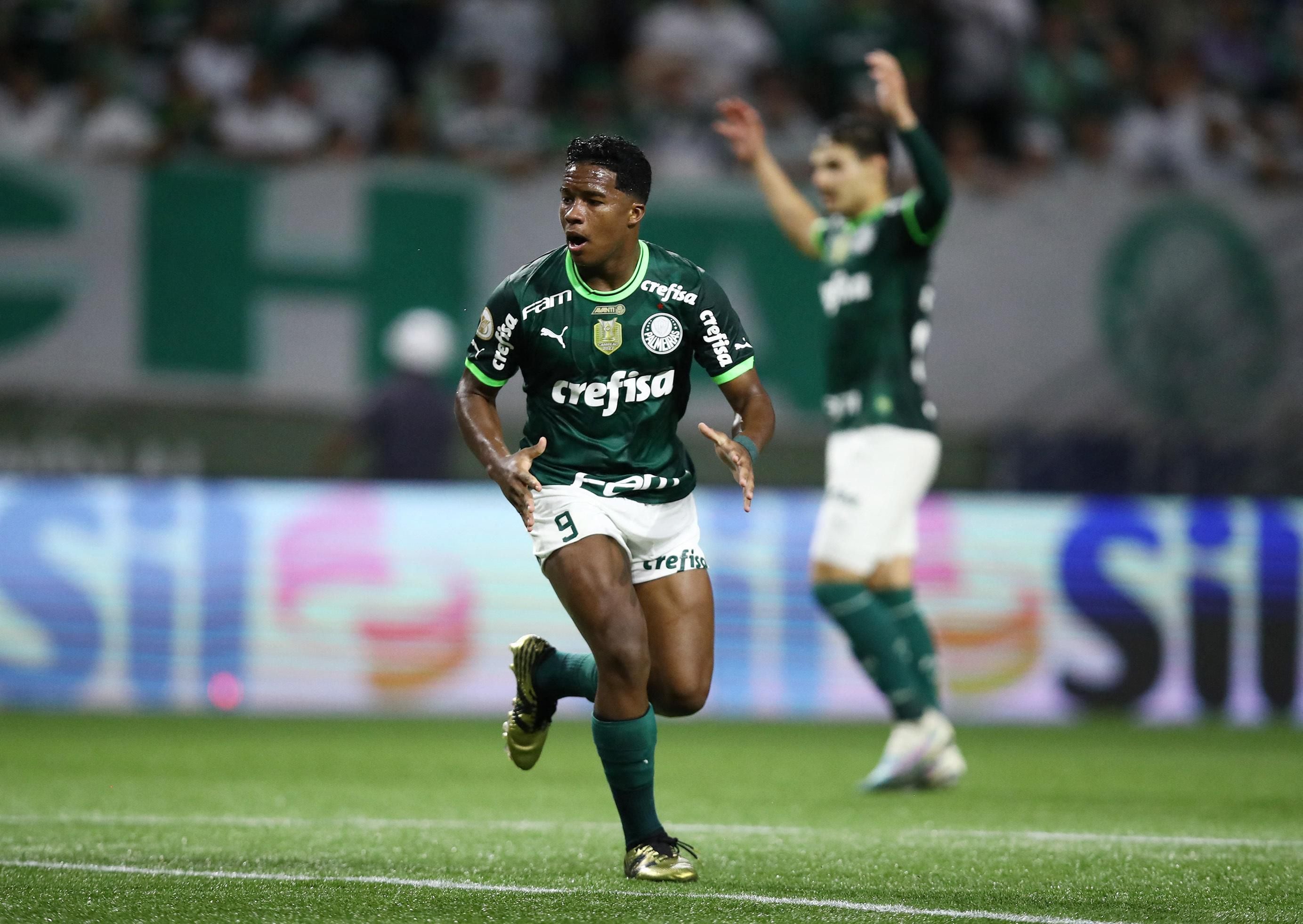 Palmeiras fica no empate e se consagra Dodecacampeão Brasileiro
