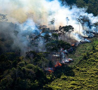 Inpe é responsável por monitorar o desmatamento na Amazônia e oferecer a taxa oficial de perda anual da floresta