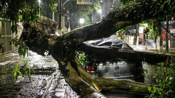 TQ SÃO PAULO 15.11.2023 METRÓPOLE Tempestade com fortes ventos e rajadas na noite desta quarta-feira de feriado trouxe destruição e quedas de árvores e energia elétrica em alguns bairros de São Paulo. FOTO TIAGO QUEIROZ / ESTADÃO. Foto: Tiago Queiroz
