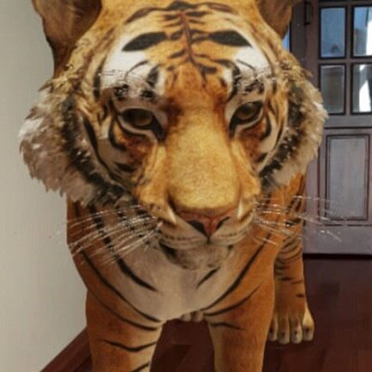Google permite ver animais em 3D e com opção de os teres na tua casa -  Mundo Smart