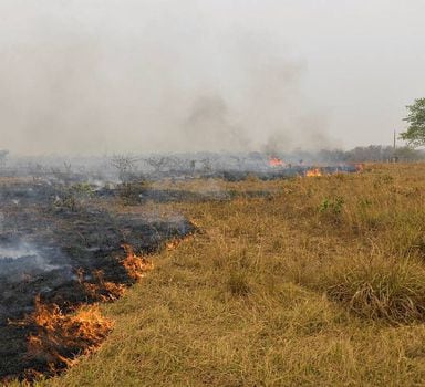 Em Mato Grosso, o número de focos de incêndio é o maior em 10 anos