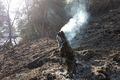 Incêndio já destruiu 600 hectares no Parque Nacional da Serra da Bocaina
