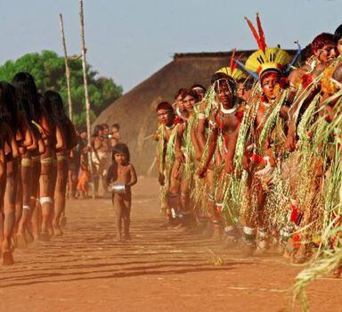 De acordo com o Conselho Indigenista Missionáriohouve uma "profunda extinção" dos povos indígenas no último século