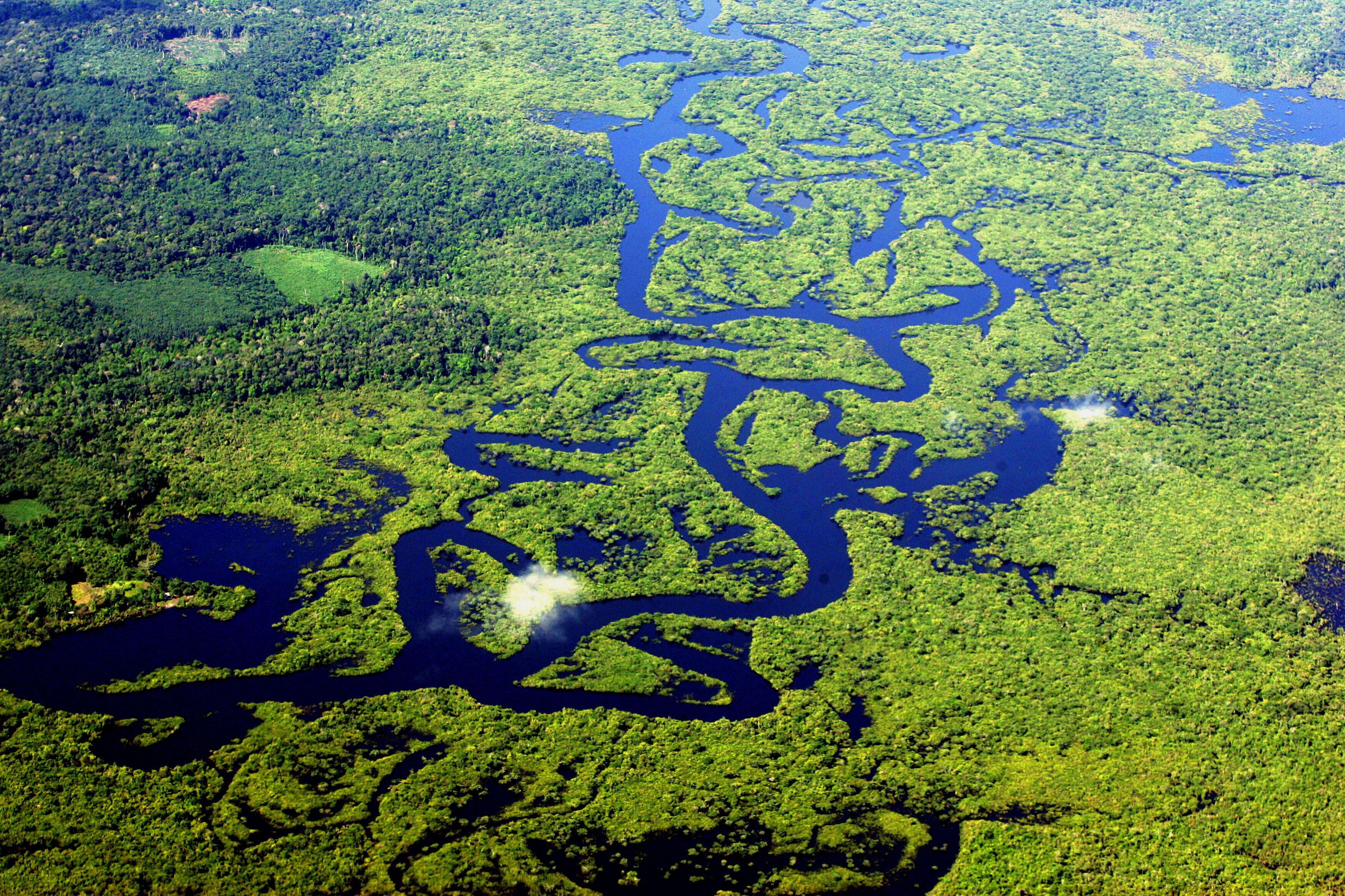 Flona e Parque Nacional de Brasília vão a leilão. Entenda o que