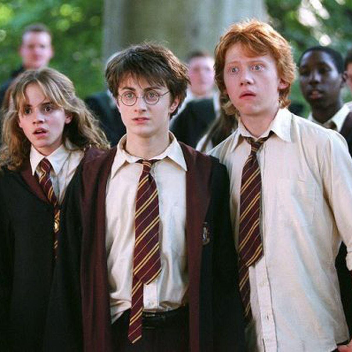 Harry Potter' terá série de sete temporadas produzida pela HBO Max, diz  site - Estadão