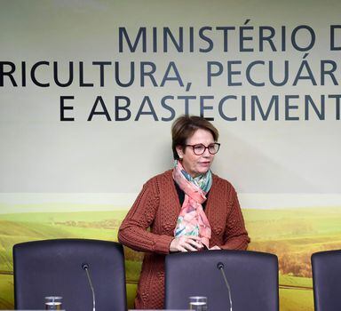A ministra da Agricultura, Tereza Cristina, defende campanha para mostrar que País é 'potência agrícola séria'