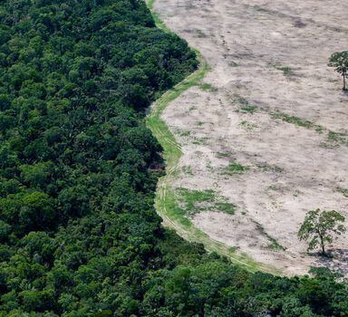 MPF moveu ação contra decreto que extinguiu reserva na Amazônia