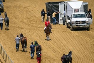 Corrida é interrompida após cavalo sofrer uma grave lesão