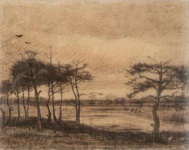 'Pinheiros no Pântano', de Van Gogh