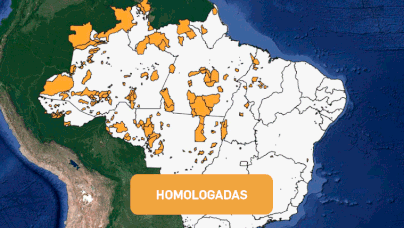 Mapa mostra homologação de terras indígenas pelo Brasil. Foto: Arte Estadão