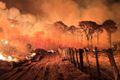 Incêndios no Pantanal cercam rodovias e destruição chega a 950 mil hectares no ano; veja vídeo