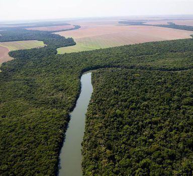 Vista panorâmica da floresta amazônica.