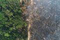 Desmatamento em março na Amazônia e no Cerrado é o maior dos últimos anos