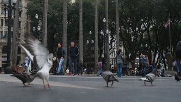 Nas ruas. Quem for flagrado alimentando pombos poderá ser multado em até R$ 20. Foto: WERTHER SANTANA/ESTADÃO